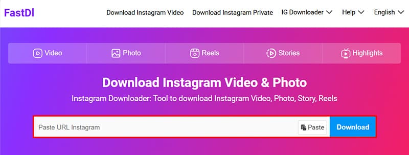 Paste the Instagram link into FastDL