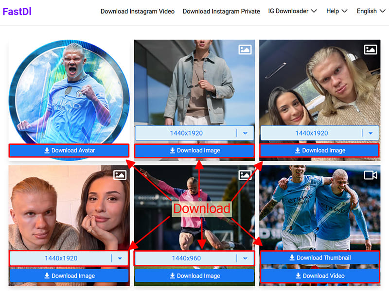 Save videos and photos with FastDL